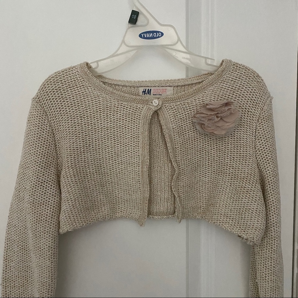Fancy Cropped Cardigan